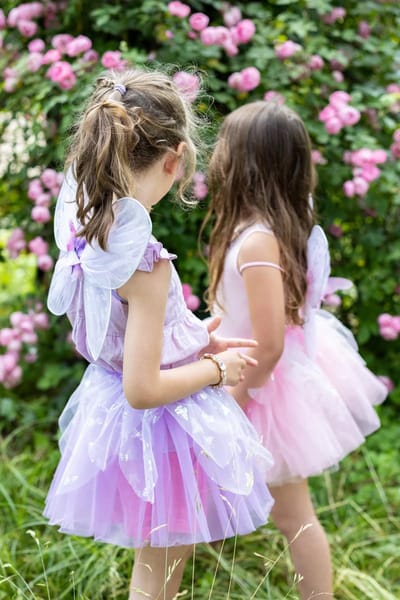 Great Pretenders Verkleedkledij Flutter Butterfly rok met vleugels - 4/6 jaar - Multi - Maat 4-6 jaar