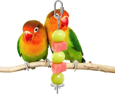 Vogel traktatie spies - Fruit houder - Vogel voeren - Natuurlijk foerageren - Klein 175 cm - Zilver