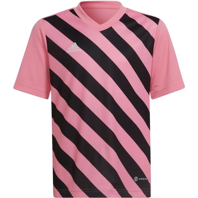 adidas Performance Entrada 22 Graphic Voetbalshirt - Kinderen - Roze- 116