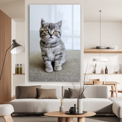 MuchoWow® Glasschilderij 120x180 cm - Schilderij acrylglas - Kitten - Ogen - Geel - Meisjes - Kinderen - Jongens - Kids - Foto op glas - Schilderijen