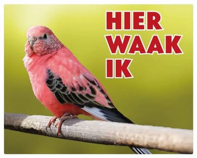 Boerkes Parkiet Waakbord - Hier Waak Ik
