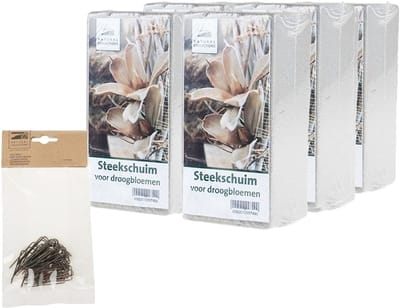 Rayher hobby - 6x grijs steekschuim/oase droog - 20 x 10 x 7.5 cm - met 50x steekkrammen 1-4 cm