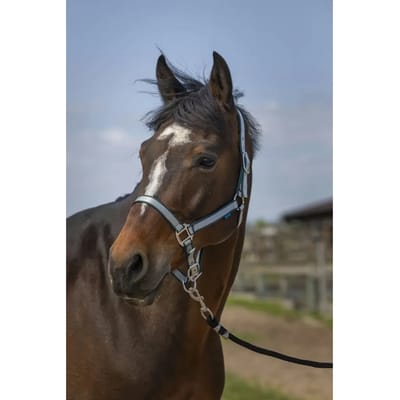 Zacht nylon halster voor paarden Norton