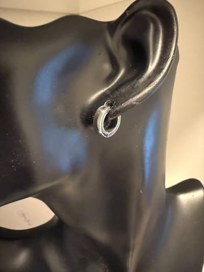 Zilverkleurige oorringen | | Make up | Parfum | Moederdag | Verjaardagscadeau| Cadeautje| Valentijnsdag| Kado | sieraden | vaderdag | oorbellen | oorsieraden