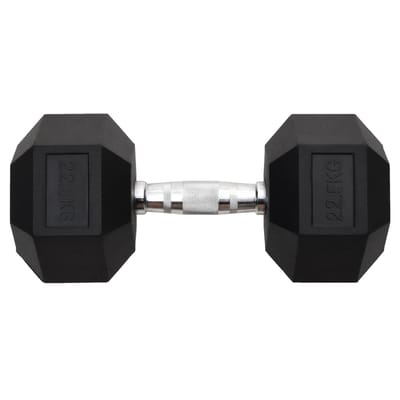 vidaXL - Halters - 22,5 - kg - gietijzer