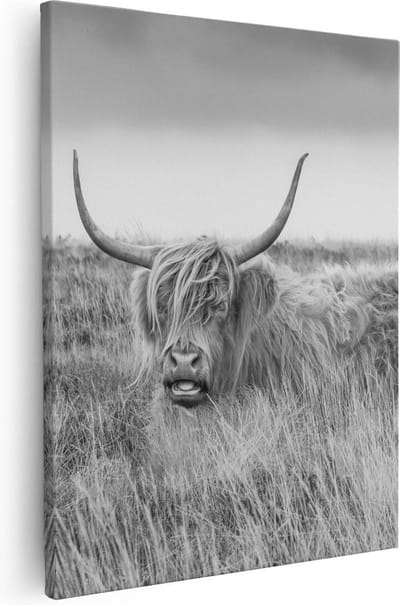 Artaza Canvas Schilderij Hooglander - 40x50 cm - Muurdecoratie Grasveld - Wanddecoratie Woonkamer - Kamer Accessoires