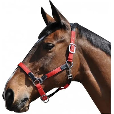 Halster voor paarden nylon/leer Flags&Cup