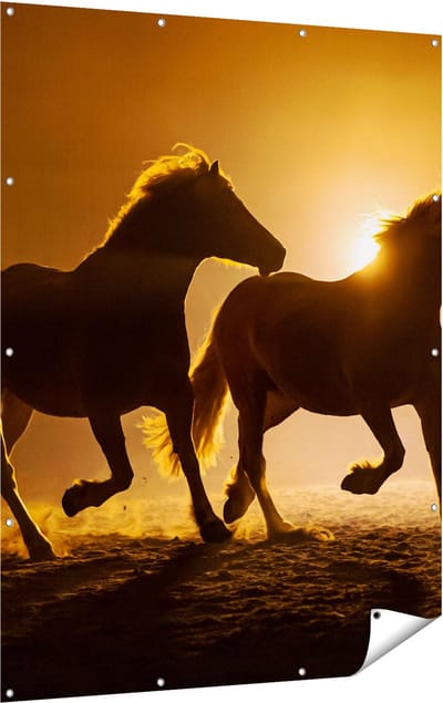 Gards Tuinposter Silhouet van Twee Paarden - 120x160 cm - Tuindoek - Tuindecoratie - Wanddecoratie buiten - Tuinschilderij