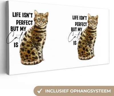 Canvas Schilderij Katten - Life isn't perfect but my cat is - Spreuken - Quotes - 40x20 cm - Wanddecoratie