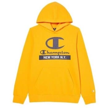 Capuchon sweaters Champion Hooded Sweatshirt