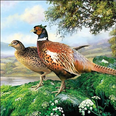 Lunch Servetten Pheasant - Ambiente - 33x33 cm