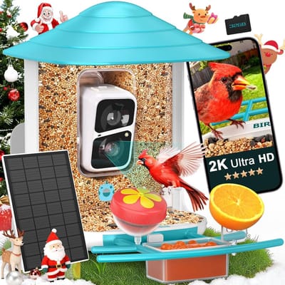 birdsnap® TUC- Vogelvoeder met camera+zonnepaneel 32 GB kaart 4-in-1 baars, 160 ° View 1080P livestream automatische melding AI identificeren 10000+ vogelkijkcamera draadloos buiten voor