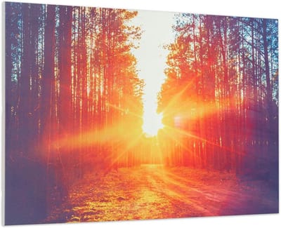 Infrarood Verwarmingspaneel met Design – 580W, 90 x 60 cm, Geruisloos en Ruimtebesparend Verwarmingselement
