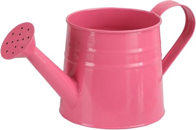 Metalen Gieter - Kleine Waterkan - Planten Verzorgen - Roestbestendig Gegalvaniseerd - 1 Liter - Groen