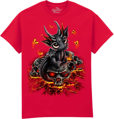 Draak Descendent Of The Volcano The Coloured House T-shirt M