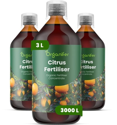 Vloeibare Meststof Voor Citrus 3X1 L Voor 3000 L - Npk 2-1-8 - Citrussoorten - Krachtige Groei - Bloei - Sterke Vruchtzetting - Sterke Wortels - Aromatische Vruchten - Hittebestendig - Bladkleur - Gezonde Kroon - Binnen-Citrus - Organifer