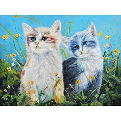 5D diamant borduurwerk cirkel twee katten diamant schilderij strass kristal schilderij huisdecoratie 20X30CM blue