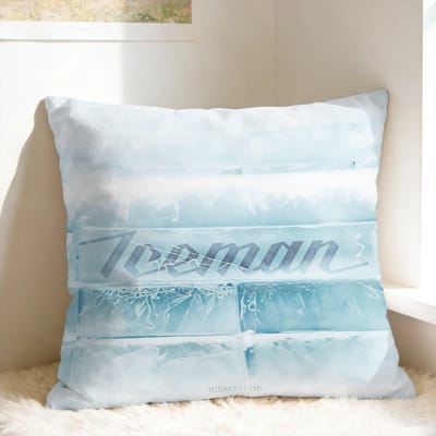 Iceman D-Drake 2026 Album Kussensloop Kawaii Kussensloop Voor Bruiloft Feest Huisdecoratie Ontwerp Kussenhoes Cadeau 30×30cm