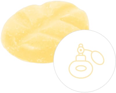 Scentchips® White Sun - Geurblokjes - Huisparfum - Geurchips - Waxmelts - Geschikt voor Geurbrander en Waxbrander - S - 8 Stuks