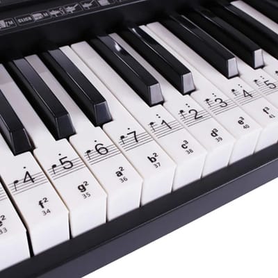 BOLAN noten stickers - stickers voor pianotoetsen - noten - bladmuziek - pianotoetsen – notenstickers voor piano vleugel keyboard