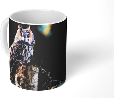 Mok - Koffiemok - Uil - Herfst - Vogel - Takken - Mokken - 350 ML - Beker - Koffiemokken - Theemok