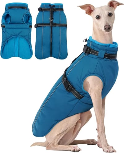 Waterdichte Hondenjas - Warme Hondenkleding - Buiten Activiteiten - Ingebouwd Harnas - XXXL - Blauw