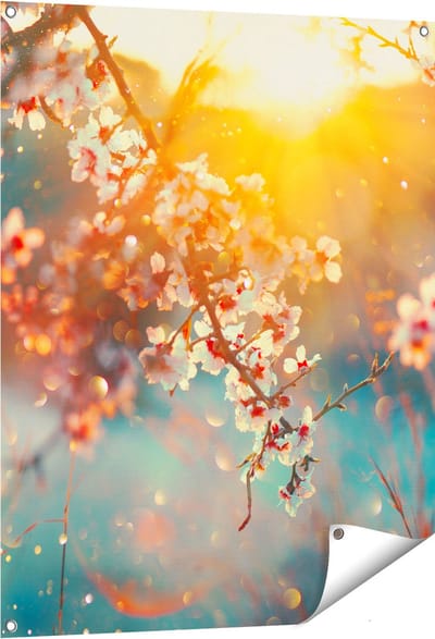 Gards Tuinposter Bloesemboom tijdens Zonsondergang - Bloem - 80x100 cm - Tuindoek - Tuindecoratie - Wanddecoratie buiten - Tuinschilderij