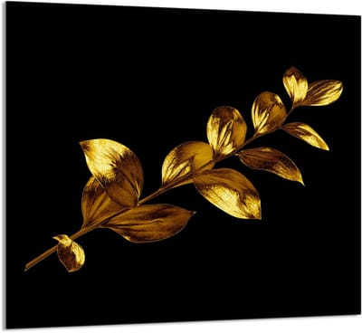 TMK ArtDeko - Gouden Keukenpaneel - 65x60 - Roestvrij - Veelzijdig