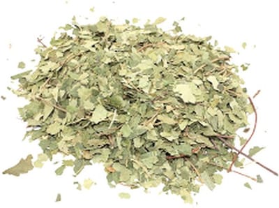 Gedroogd Berkenblad – 1 kg – Gesneden Blad – 100% Natuurlijke Kruiden & Thee – Voor Infusies, Kruidenmixen & Ambachtelijk Gebruik