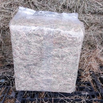 Hooi - 8 kg - Weidehooi voor kleine huisdieren, cavia, konijn en paarden
