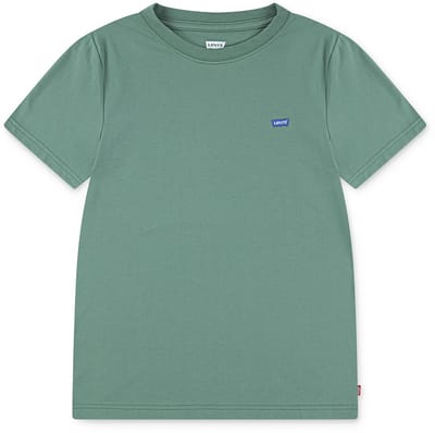 Levi´s ® Kids Batwing Chest Hit T-shirt Met Korte Mouwen Groen 5 Years Jongens