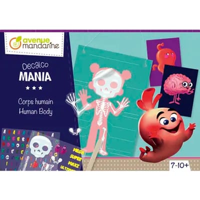 Creatieve doos - poppen om te bouwen - decalco mania Avenue Mandarine