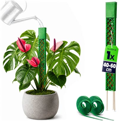 KADAX mosstok 60 cm voor klimplanten, plantenstok om te vullen met veenmos, plantensteun van kunststof, klimhulp voor Monstera, klimstok met klittenband