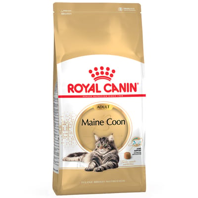 Royal Canin Maine Coon Adult - Kattenvoer - 2kg - Volwassen Maine Coon