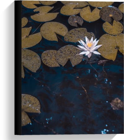 Canvas  - Waterlelies - 30x40cm Foto op Canvas Schilderij (Wanddecoratie op Canvas)