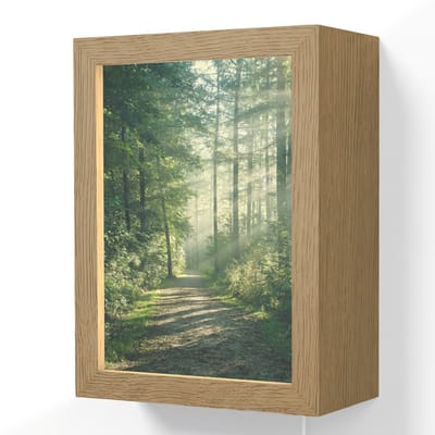 Wandlamp 15x20 cm - Oplaadbaar - Bos - Pad - Zon - Bomen - Groen - Natuur - Wandlampen binnen woonkamer - Slaapkamer lamp met kabel - Decoratieve nachtlamp - Vloerlamp snoer