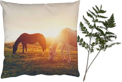 Sierkussens - Kussentjes Woonkamer - 40x40 cm - Paarden - Zon - Dieren