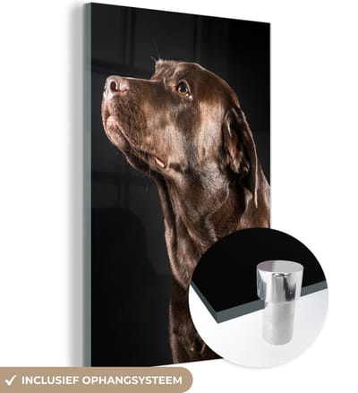MuchoWow® Glasschilderij 120x180 cm - Schilderij acrylglas - Hond - Bruin - Portret - Foto op glas - Schilderijen