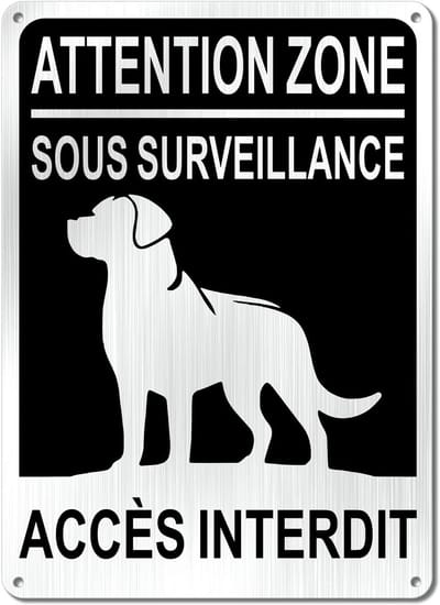 Waarschuwingsbord Surveillance Camera en Verboden Toegang 18x25 cm Aluminium