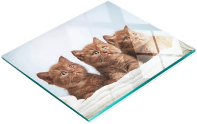 Keukenplank van gehard glas met afbeeldingen en handdoek voor kittens, 60x52 cm