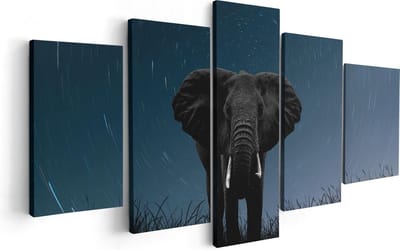 Artaza Canvas Schilderij Vijfluik Olifant Omringd Met Sterren  - 100x50 - Foto Op Canvas - Canvas Print
