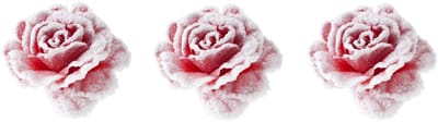 Cosy & Trendy decoratie bloemen - 3x stuks - roos - rozen - roze met sneeuw - op clip - 15 cm - kerstboom versiering