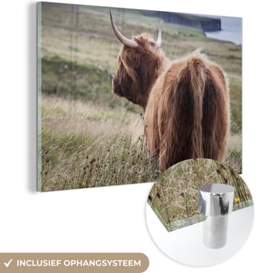 MuchoWow® Glasschilderij 120x80 cm - Schilderij acrylglas - Schotse Hooglander - Natuur - Zee - Foto op glas - Schilderijen