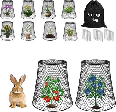 Tuin Cloches - Plantenbeschermers Manden - Bescherm Zaailingen - Duurzaam Metaal - 23x23x23 cm - Zwart
