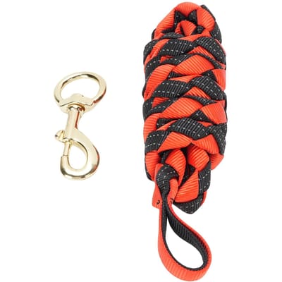 Longe de longe pour cheval avec mousqueton pivotant Sangle en nylon Poignée confortable Corde d'entraînement pour cheval pour l'entraînement quotidien la promenade