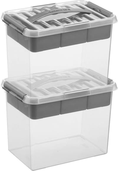 Sunware q-line opberg box/opbergdoos - 2x -met vakverdeling - tray 9 liter - transparant/zilver - 30 x 20 x 22 cm kunststof - gereedschapskist - opslagbox