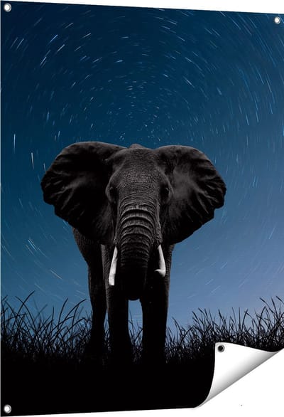 Gards Tuinposter Olifant Omringd met Sterren - 80x100 cm - Tuindoek - Tuindecoratie - Wanddecoratie buiten - Tuinschilderij