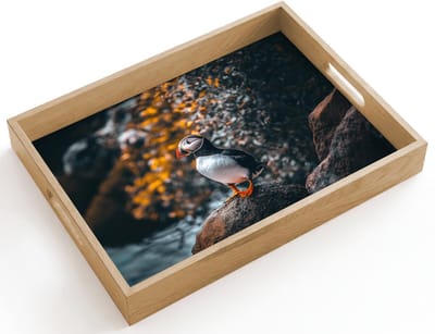 Dienblad hout 40x30 cm - Schootdienblad - Papegaai - Vogel - Rots - Wit - Borrelplank rechthoek - Plateau dienbladen