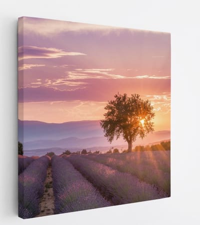 Saammp Canvas Schilderij - Lavendelveld met de zon tussen de boom - Natuur - Landschap - 20x20 - Foto op canvas - Wanddecoratie - Muurdecoratie Woonkamer - Slaapkamer decoratie - Canvas Print