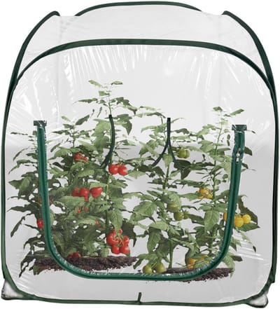 Opvouwbare Mini Kweekkas - Kleine Buitenkas - Planten Vorstbescherming - Transparante PVC Bekleding - 98x98x98 CM